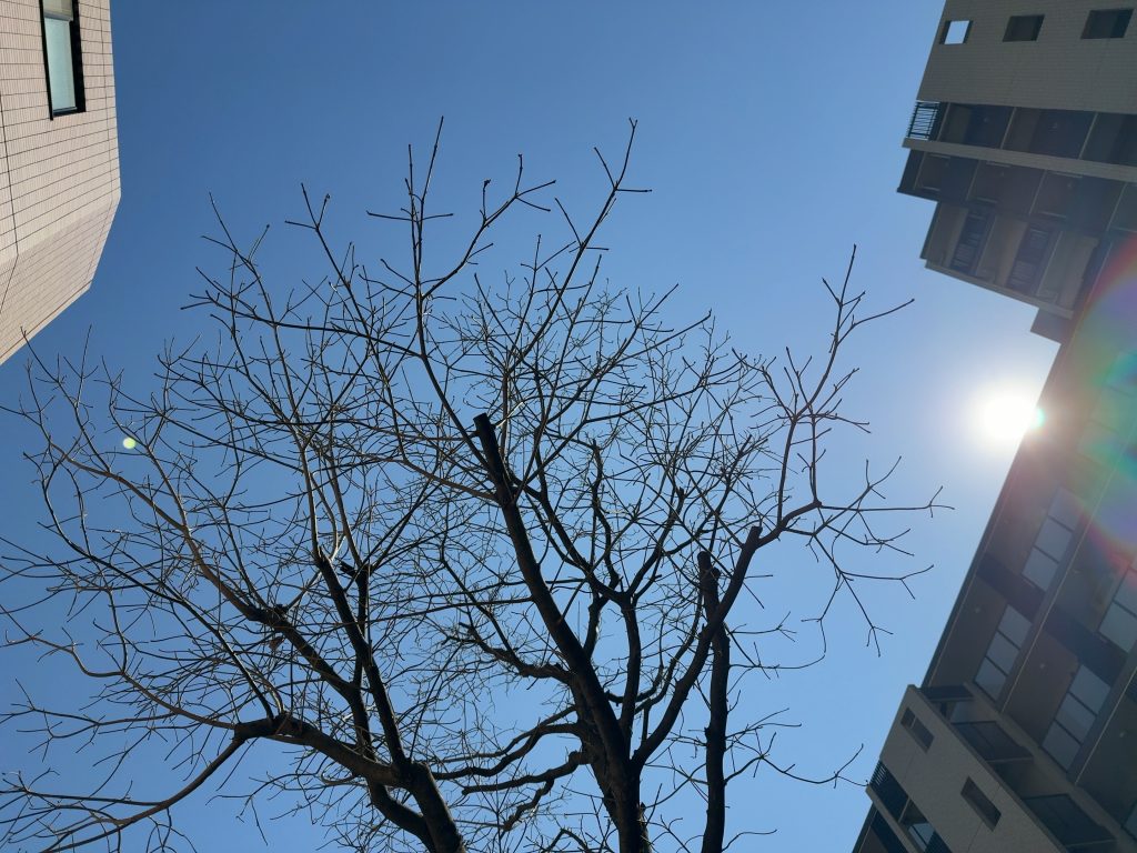 春の陽気が気分を上げてくれますね！