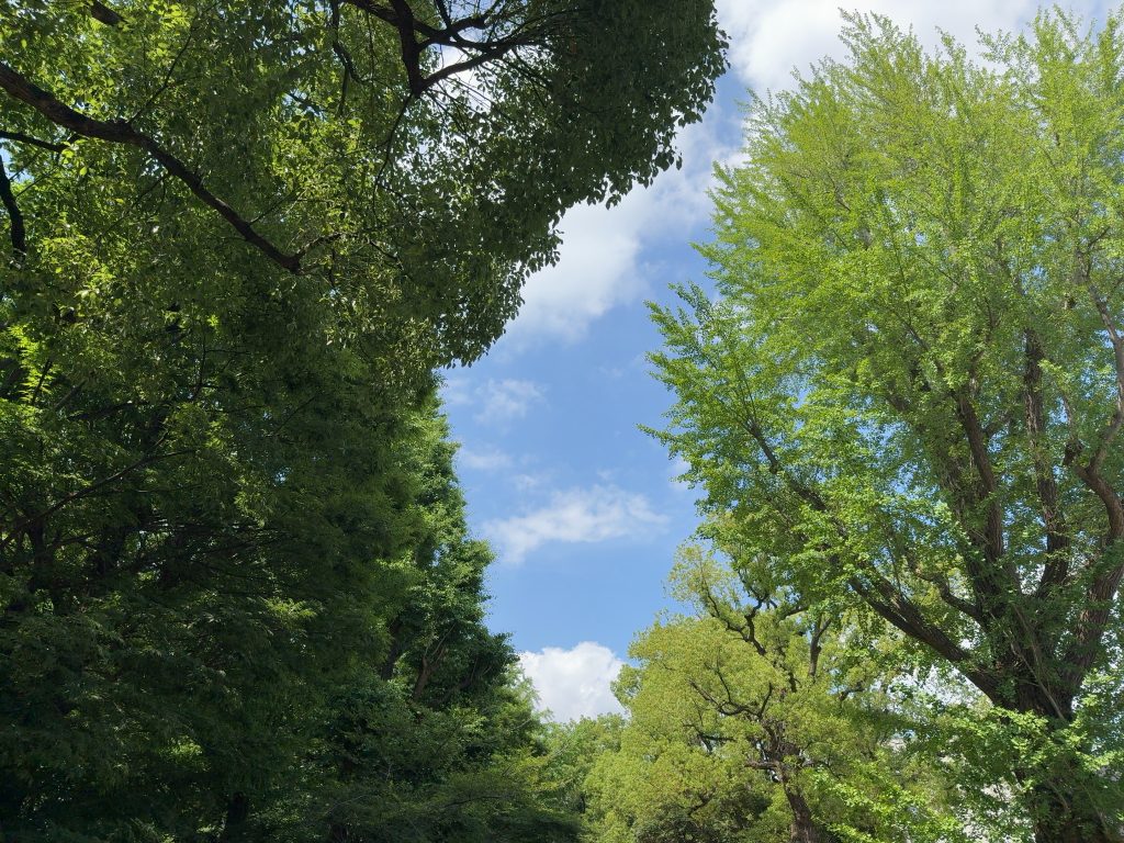 あの手この手の怪しい文章がやってきますね
